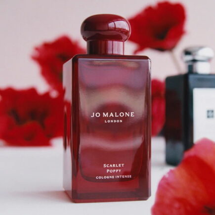 cologne scarlet