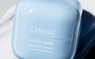 2 5 320x200 - Laneige Mini Water Bank Blue Hyaluronic Cream Moisturizer for Moisture Barrier Repair